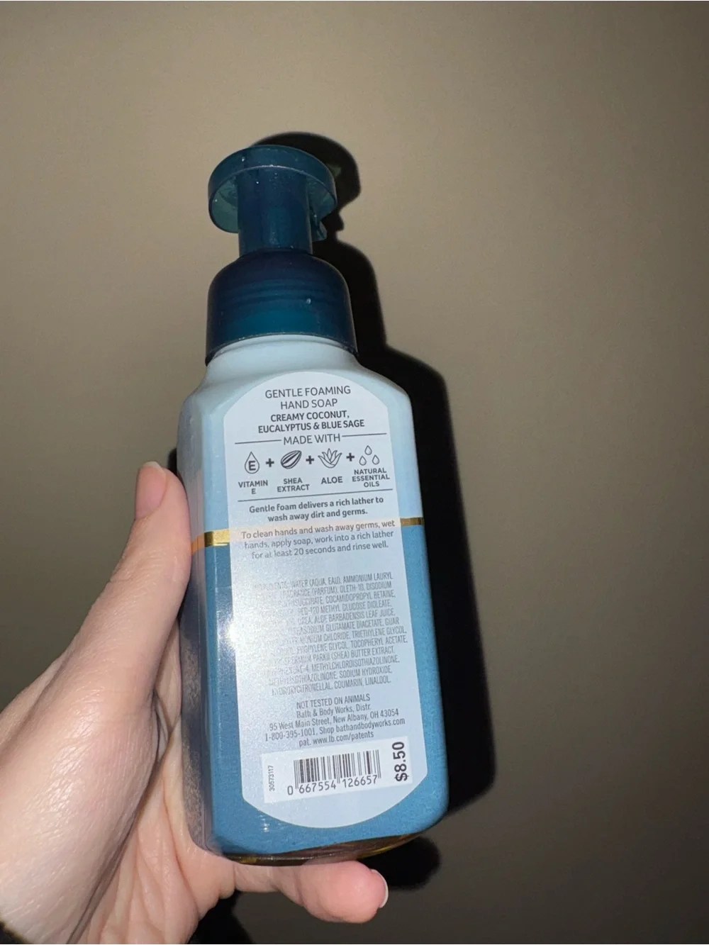White Barn Coconut Eucalyptus Foaming Hand Soap - Blue